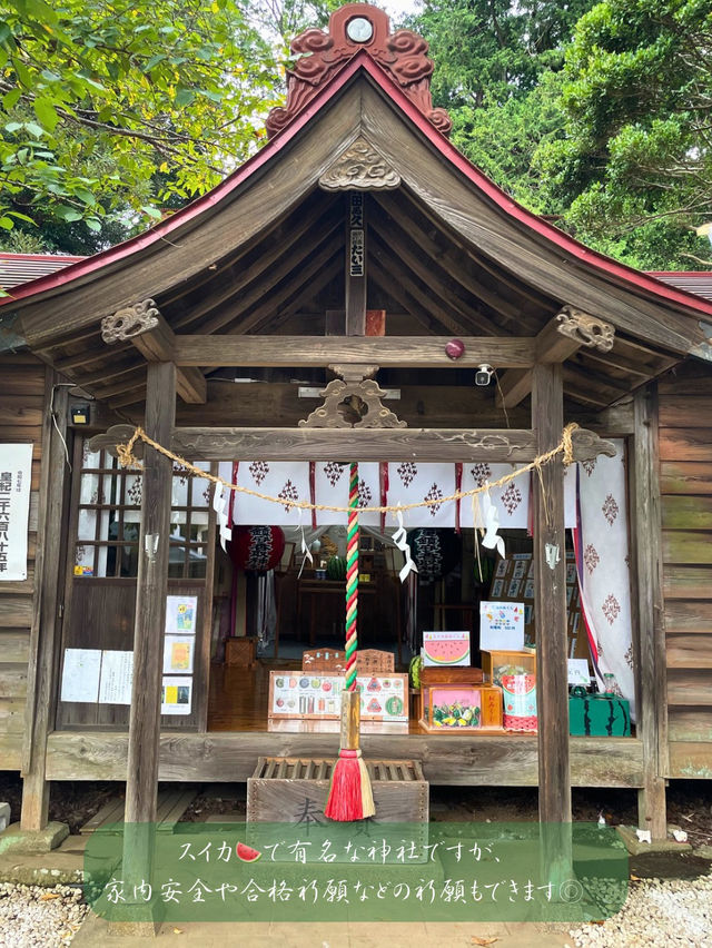 スイカ🍉推しがかわいい⛩️富里にある香取神社に行ってきた!!!