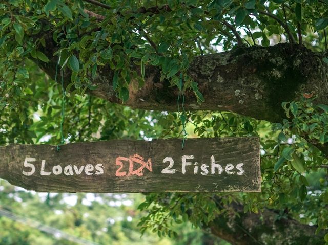 🇰🇷 제주 카페 5L2F(5Loaves 2Fish)