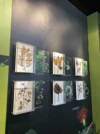 Cebu National Museum
