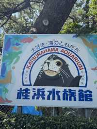 高知旅行！
