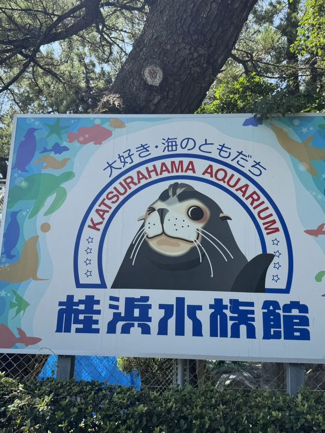 高知旅行！