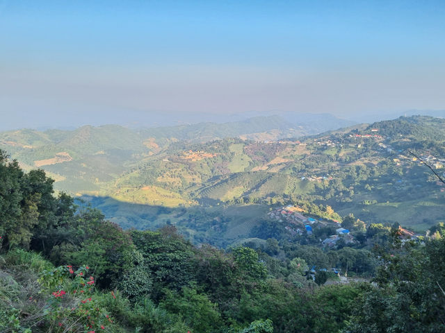 🌄 Mystical Mornings in Mae Salong