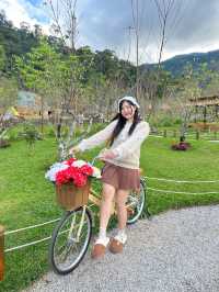 🏡 เตญ่า ฟาร์มวิลล์ คาเฟ่