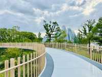 🌿 Discover Shanghai Botanical Garden: A Peaceful Green Escape in the City