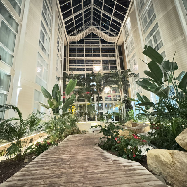 夜晚現代建築打卡新體驗🌃