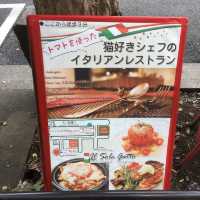 【東京/新宿🇯🇵】隠れ家イタリアン🇮🇹イル・ソーレガット