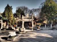 Xi’an ancient city walls, epic pagodas, lively local streets, and a surprise snowy adventure