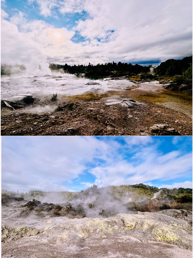 【新西蘭北島】波胡圖間歇泉（Pohutu Geyser）：震撼的自然奇觀，感受地熱的力量