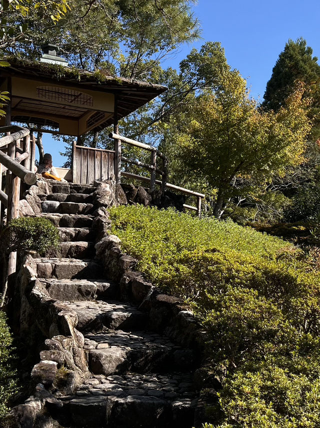 🦌 Day Trip to Nara – Gardens, Deer & Matcha 🍦