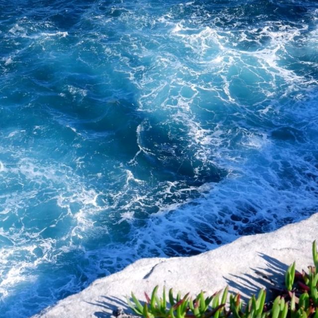悉尼邦迪海灘到庫吉海灘:絕美海岸徒步之旅 悉尼邦迪海灘到庫吉海灘:絕美海岸徒步之旅