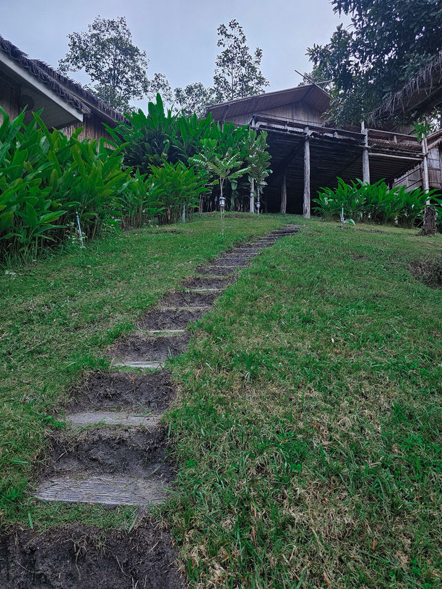 Yazama | ยาซาม่า