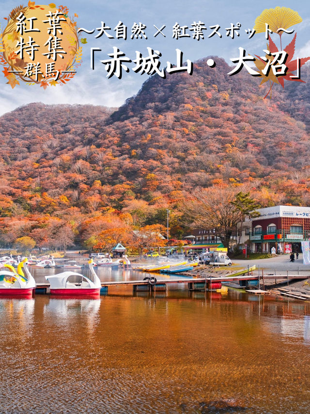 【穴場の紅葉】観光攻略付‼️赤城山で最も雄大な紅葉と水鏡の絶景を楽しむ🌊 🍁⛩️✨
