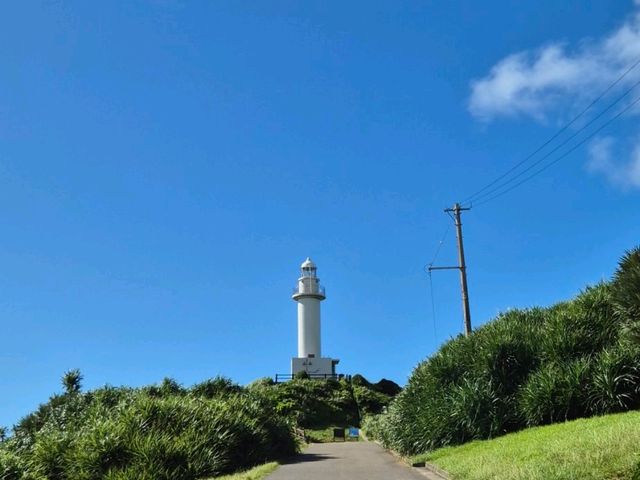 이시가키 투어 추천 이시가키 투어 추천