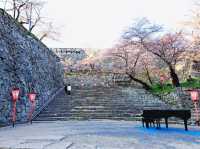 The Castle in the Mist: My Return to Tsuyama Castle