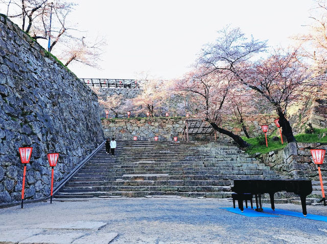 The Castle in the Mist: My Return to Tsuyama Castle