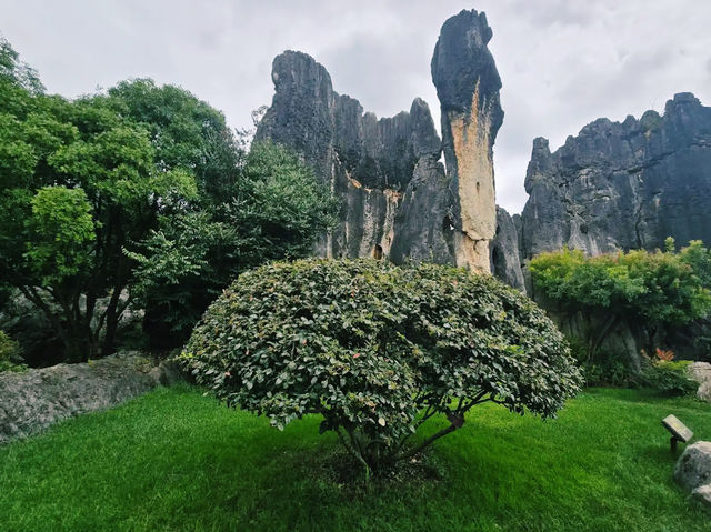 Nature's Artistry at Stone Forest Bishuyuan Nature's Artistry at Stone Forest Bishuyuan