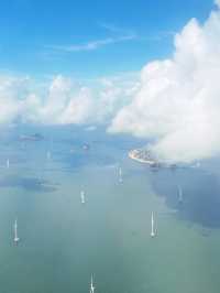 🌉 Hong Kong's Ocean & Traffic Symphony: Where Sea Meets City Pulse! 🚖