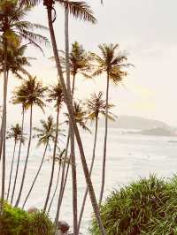 🌴 🇱🇰 Coconut Tree Hill Swing: Swing Between Heaven and Ocean! 🌊