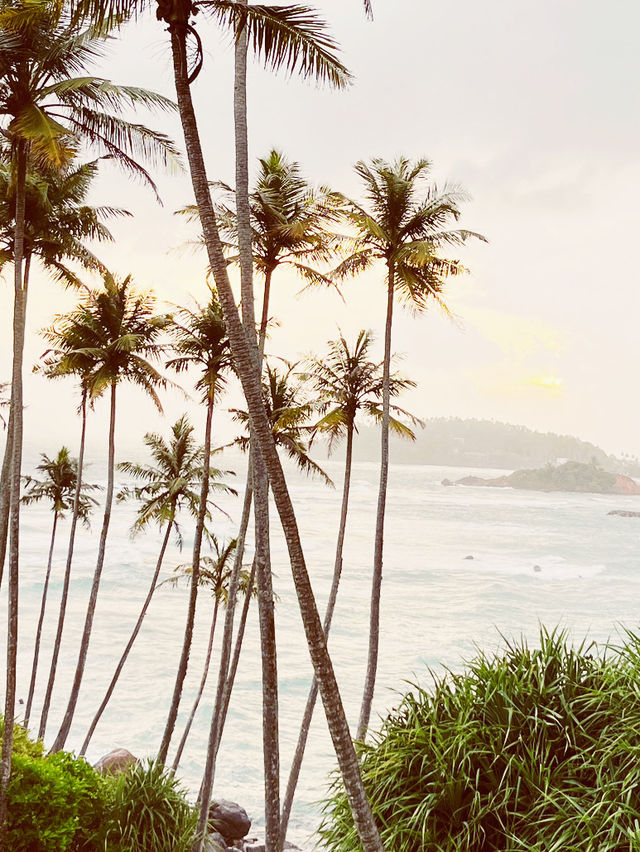 🌴 🇱🇰 Coconut Tree Hill Swing: Swing Between Heaven and Ocean! 🌊 🌴 🇱🇰 Coconut Tree Hill Swing: Swing Between Heaven and Ocean! 🌊