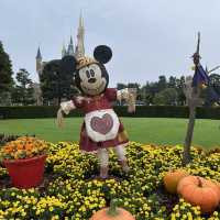 【東京都】ディズニーハロウィーンパレード攻略法