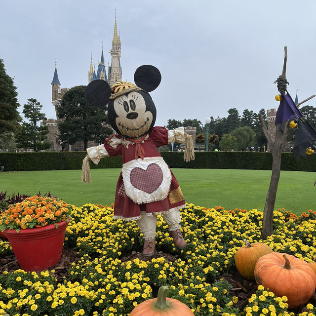 【東京都】ディズニーハロウィーンパレード攻略法