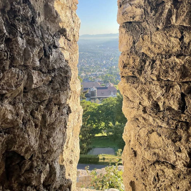 Ruine Pfeffingen – A Castle Above the Basel Countryside