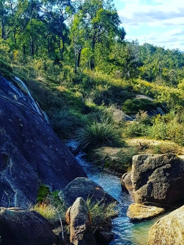 🌿 Gooseberry Hill National Park – Perth’s Hidden Gem on a Hill