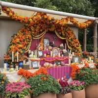 【千葉/舞浜🇯🇵】まるでメキシコ🇲🇽東京ディズニーシー