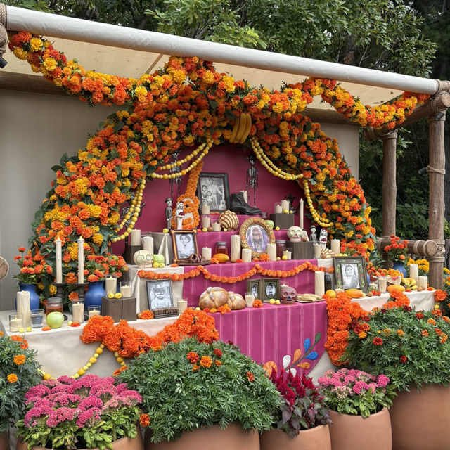 【千葉/舞浜🇯🇵】まるでメキシコ🇲🇽東京ディズニーシー