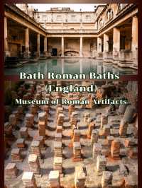 The Roman Baths @ Bath