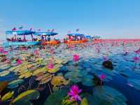 ล่องเรือชมทะเลบัวแดง อุดรธานี