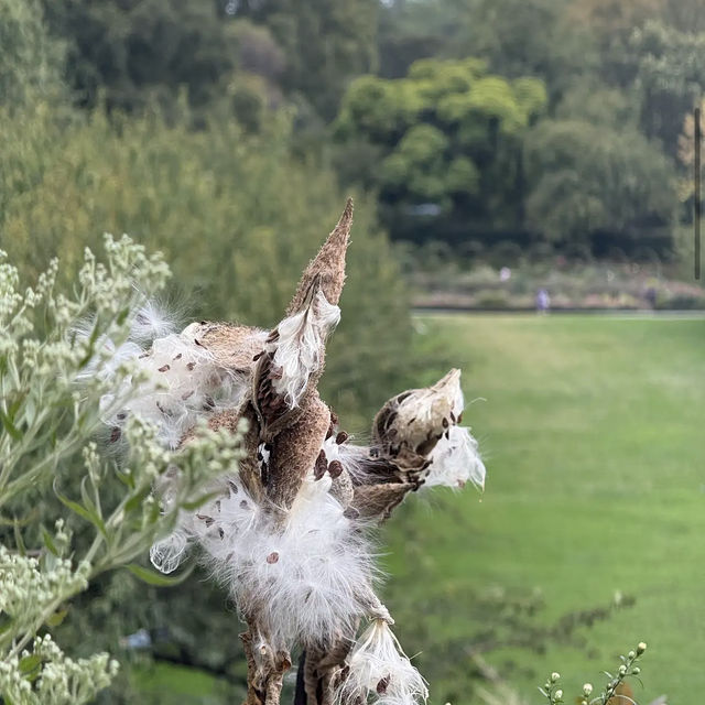 Brooklyn Botanic Garden