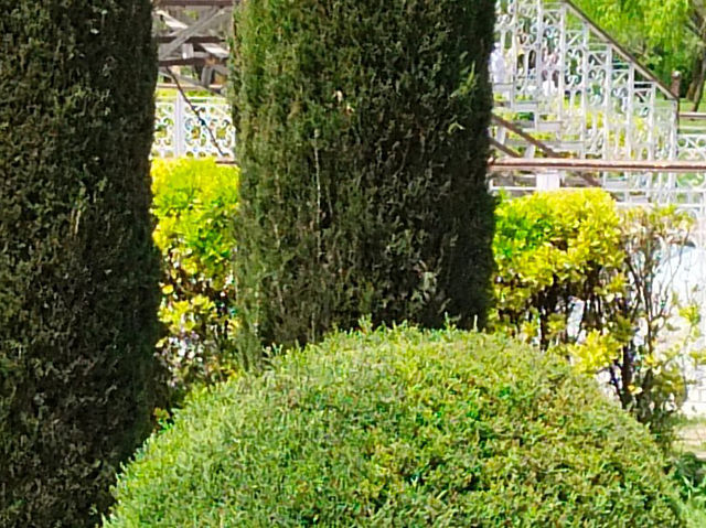 Badamwari Garden Badamwari Garden