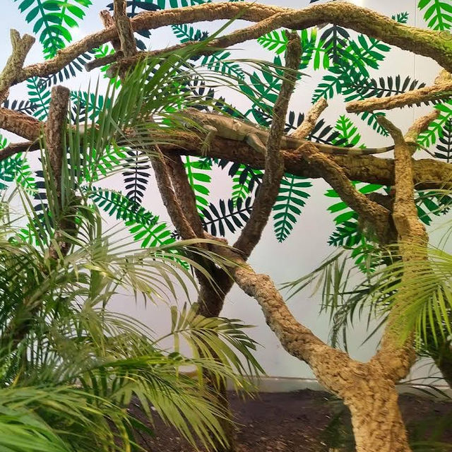 Landesmuseum Hannover – A Grand Showcase of Art, Nature, and Culture