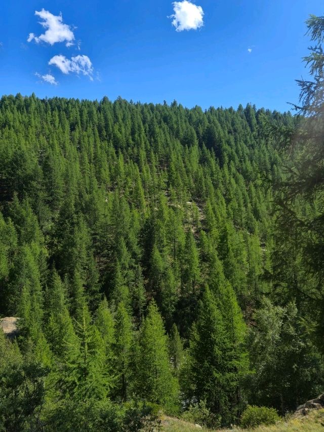 체르마트 숙소 추천 : Mountain Lodge Ze Seewjinu 🇨🇭