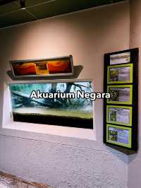 Akuarium Negara, Ampang – A Must-Visit for Marine Enthusiasts