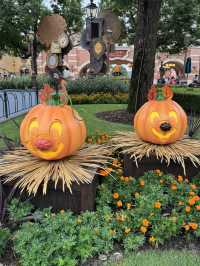 Halloween衣装がが可愛すぎるキャラクターグリーティング