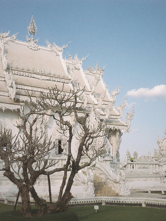 Chiang Rai (เชียงราย) 🏞️