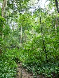 【ラオス🇱🇦】クアンシーの滝