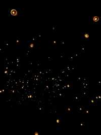 念願のコムローイ祭り!!