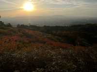 Golden Hills Nara🌅
