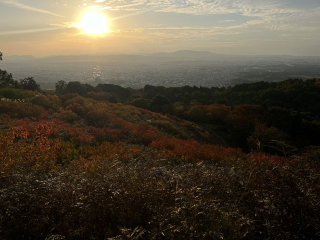Golden Hills Nara🌅
