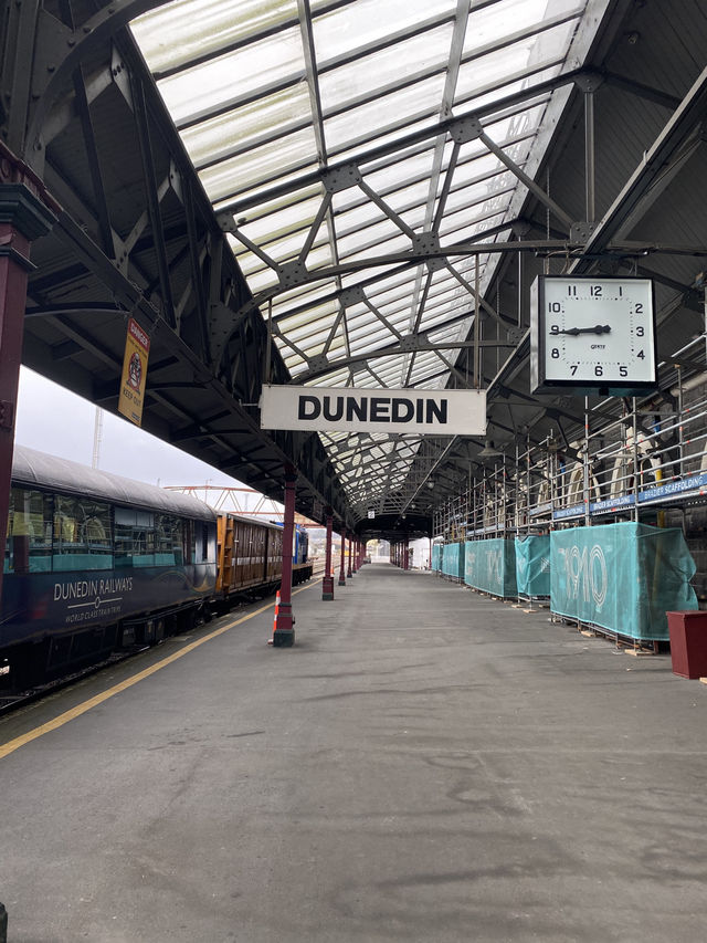 잠시 멈춰, 나를 찾아가는 더나든 여행 잠시 멈춰, 나를 찾아가는 더나든 여행