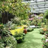 Blooming Beauty in the Flower Dome 🌸