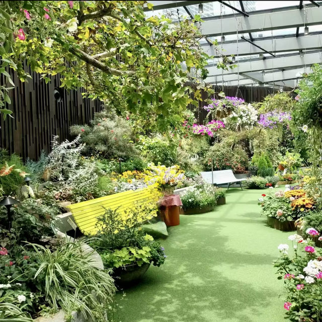 Blooming Beauty in the Flower Dome 🌸