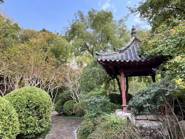 🌿 Jinan Wulongtan Park | The Easiest & Most Efficient Way to Explore 🌿 Jinan Wulongtan Park | The Easiest & Most Efficient Way to Explore