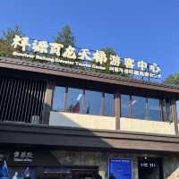  Zhangjiajie East Gate — A One-Day Journey Through Peaks, Clouds & Surprises