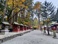 《巨杉守護的靜謐時光•北口本宮富士淺間神社》