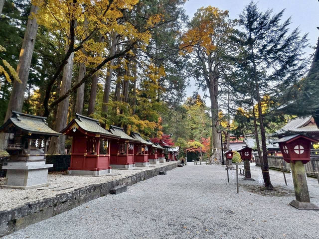 《巨杉守護的靜謐時光•北口本宮富士淺間神社》