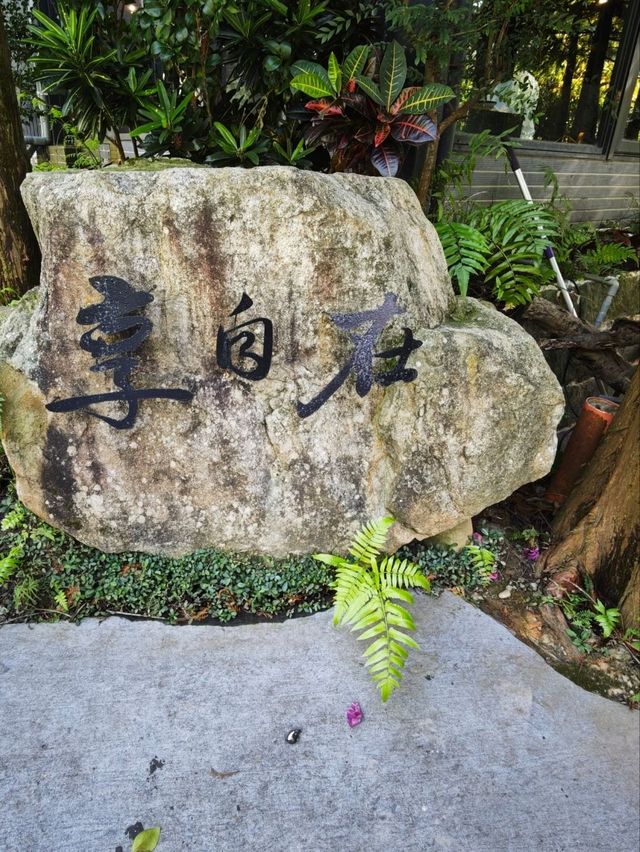 🌲落羽松秘境中的蔬食饗宴#🌿 澄石享自在-臺中市北屯區